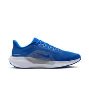 Kentucky Nike Zoom Pegasus 41 Shoes